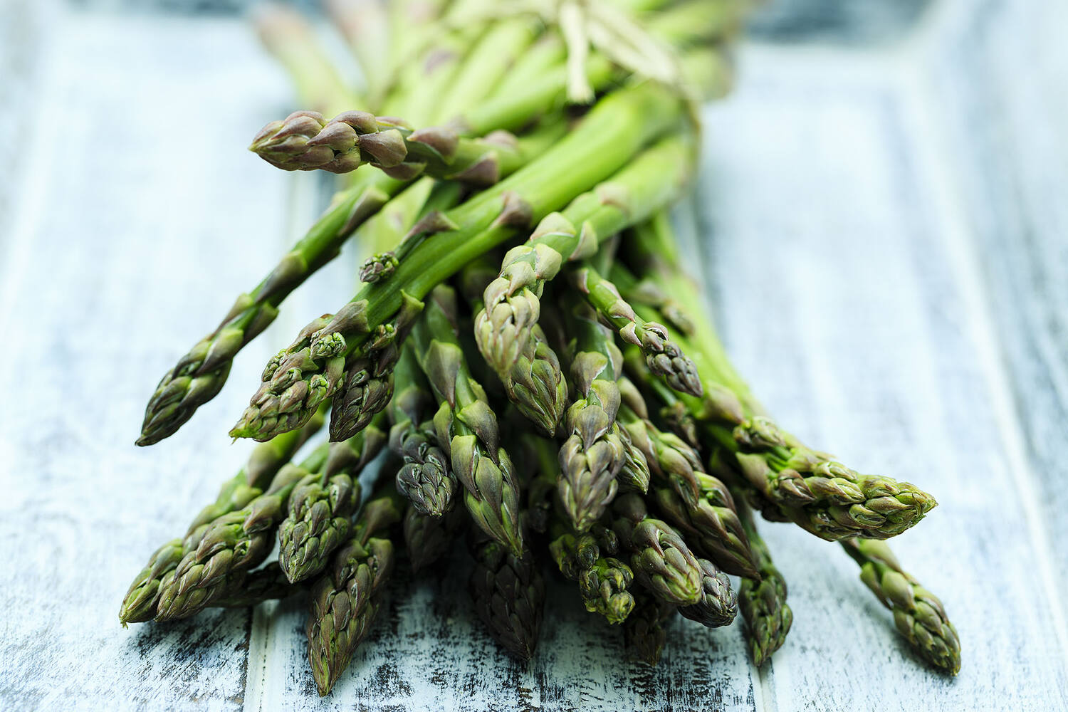 Asperges groen large 450gr kist 11 stuks